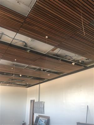 World Langauge Lab Ceiling 